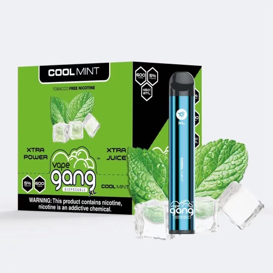 Bang / gang XL Cool Mint 1 Gang XL Cool Mint